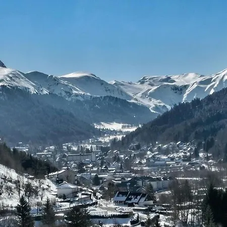Appartement Mont-dore, 3 Pièces, 5 Personnes - Fr-1-415-116 *